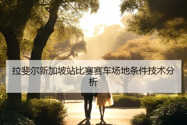 拉斐尔新加坡站比赛赛车场地条件技术分析（qiedingjing）